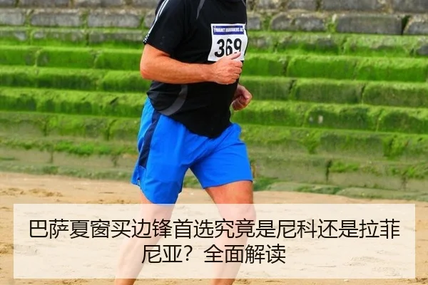 ba-sa-xia-chuang-mai-bian-feng-shou-xuan-jiu-jing-shi-ni-ke-hai-shi-la-fei-ni-ya-quan-mian-jie-du-2-219.jpg